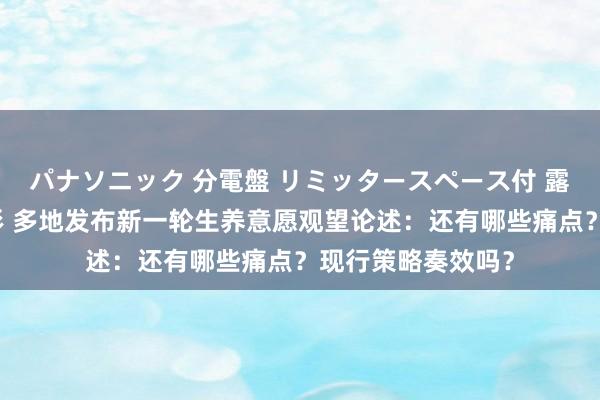 パナソニック 分電盤 リミッタースペース付 露出・半埋込両用形 多地发布新一轮生养意愿观望论述：还有哪些痛点？现行策略奏效吗？