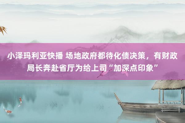 小泽玛利亚快播 场地政府都待化债决策，有财政局长奔赴省厅为给上司“加深点印象”