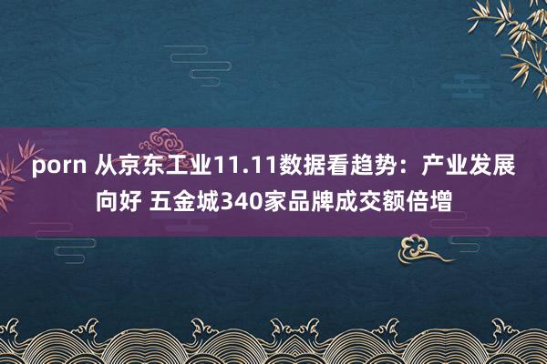 porn 从京东工业11.11数据看趋势：产业发展向好 五金城340家品牌成交额倍增