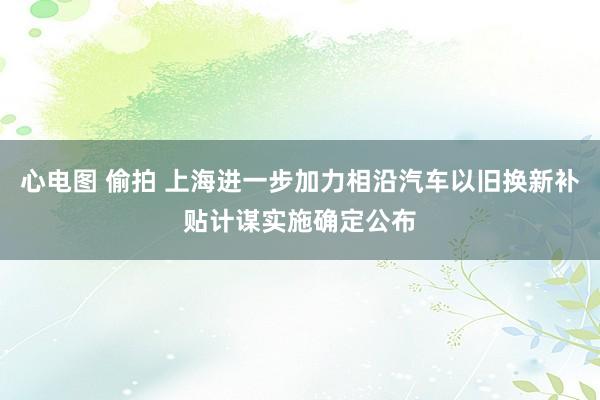 心电图 偷拍 上海进一步加力相沿汽车以旧换新补贴计谋实施确定公布