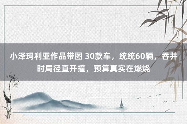 小泽玛利亚作品带图 30款车，统统60辆，吞并时局径直开撞，预算真实在燃烧