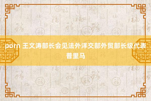 porn 王文涛部长会见法外洋交部外贸部长级代表普里马