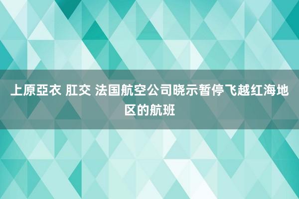 上原亞衣 肛交 法国航空公司晓示暂停飞越红海地区的航班