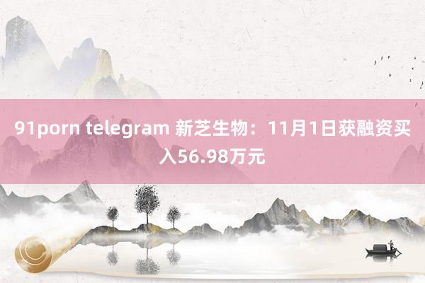 91porn telegram 新芝生物：11月1日获融资买入56.98万元