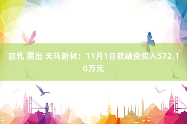 巨乳 露出 天马新材：11月1日获融资买入572.10万元