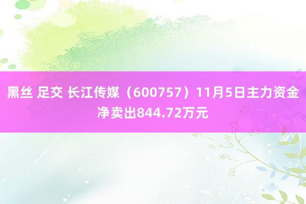 黑丝 足交 长江传媒（600757）11月5日主力资金净卖出844.72万元