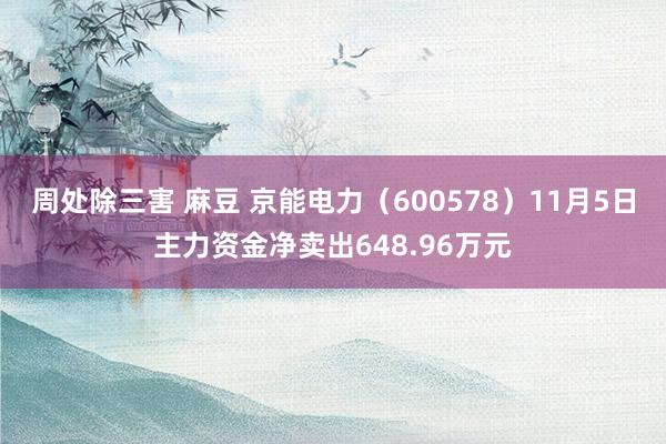 周处除三害 麻豆 京能电力（600578）11月5日主力资金净卖出648.96万元