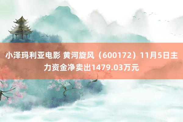 小泽玛利亚电影 黄河旋风（600172）11月5日主力资金净卖出1479.03万元