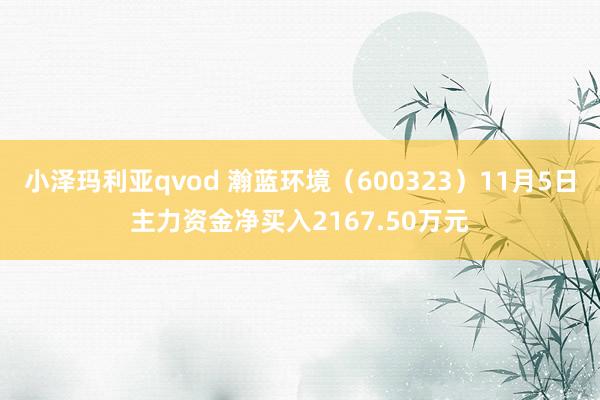 小泽玛利亚qvod 瀚蓝环境（600323）11月5日主力资金净买入2167.50万元