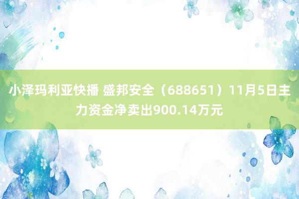 小泽玛利亚快播 盛邦安全（688651）11月5日主力资金净卖出900.14万元