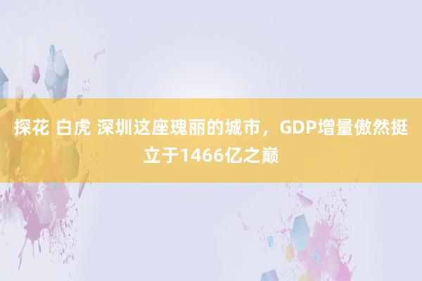 探花 白虎 深圳这座瑰丽的城市，GDP增量傲然挺立于1466亿之巅