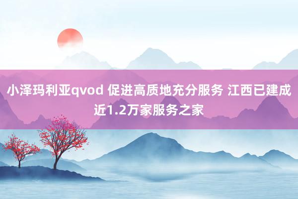 小泽玛利亚qvod 促进高质地充分服务 江西已建成近1.2万家服务之家