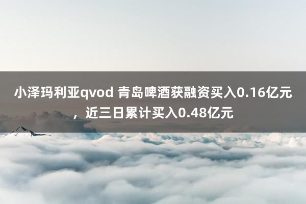 小泽玛利亚qvod 青岛啤酒获融资买入0.16亿元，近三日累计买入0.48亿元