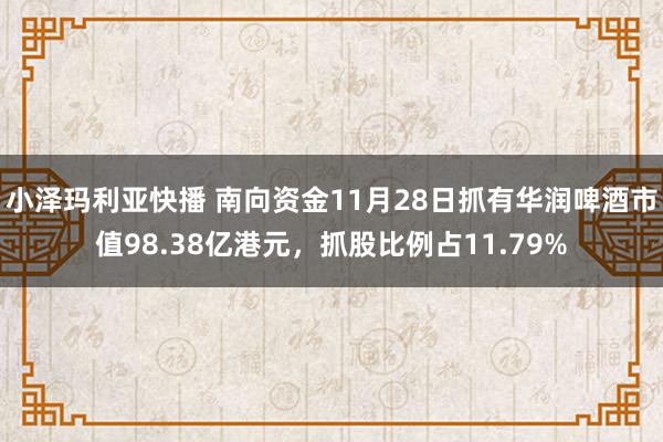 小泽玛利亚快播 南向资金11月28日抓有华润啤酒市值98.38亿港元，抓股比例占11.79%