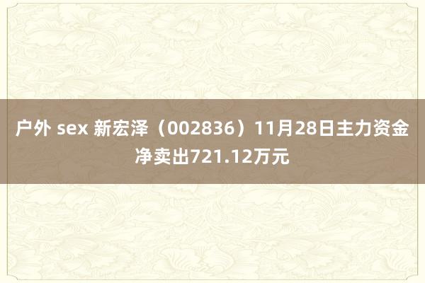 户外 sex 新宏泽（002836）11月28日主力资金净卖出721.12万元