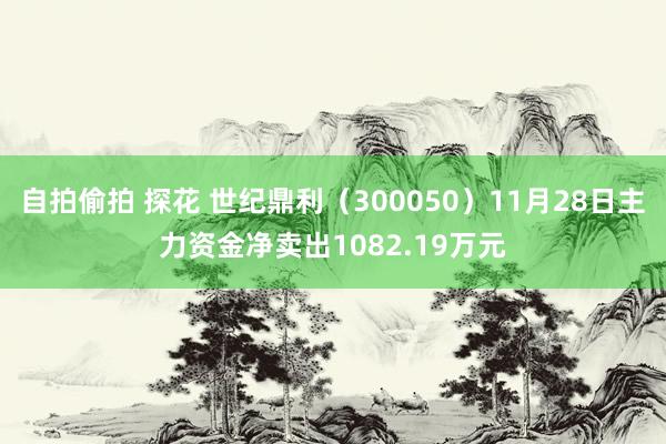 自拍偷拍 探花 世纪鼎利（300050）11月28日主力资金净卖出1082.19万元