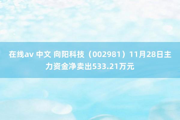 在线av 中文 向阳科技（002981）11月28日主力资金净卖出533.21万元