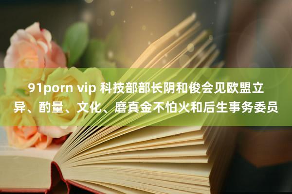 91porn vip 科技部部长阴和俊会见欧盟立异、酌量、文化、磨真金不怕火和后生事务委员