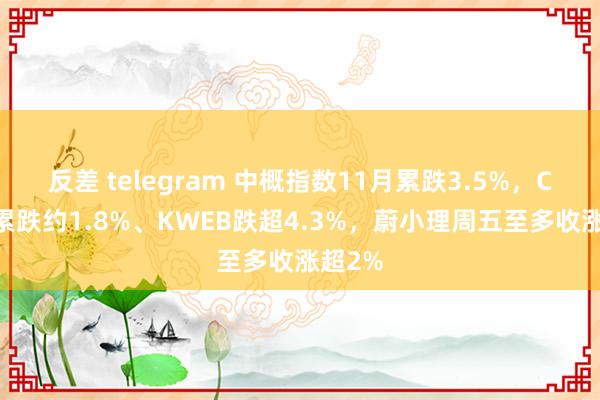 反差 telegram 中概指数11月累跌3.5%，CQQQ累跌约1.8%、KWEB跌超4.3%，蔚小理周五至多收涨超2%