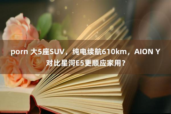 porn 大5座SUV，纯电续航610km，AION Y对比星河E5更顺应家用？