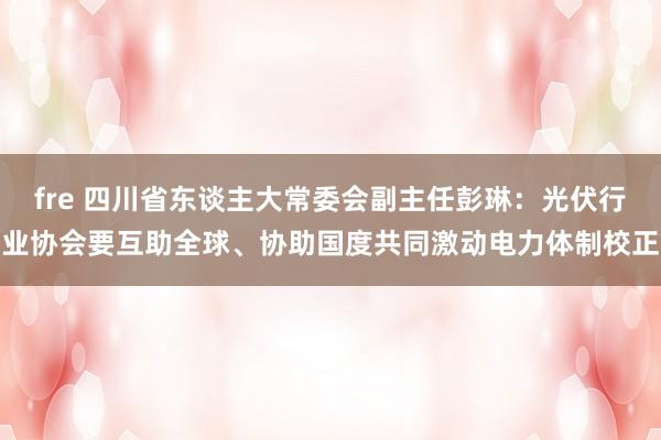 fre 四川省东谈主大常委会副主任彭琳：光伏行业协会要互助全球、协助国度共同激动电力体制校正