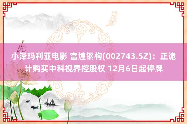 小泽玛利亚电影 富煌钢构(002743.SZ)：正诡计购买中科视界控股权 12月6日起停牌