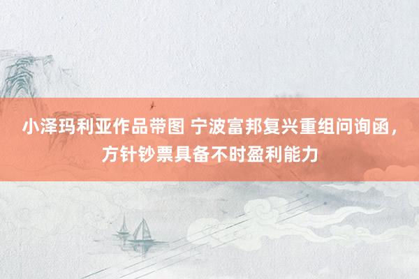 小泽玛利亚作品带图 宁波富邦复兴重组问询函，方针钞票具备不时盈利能力