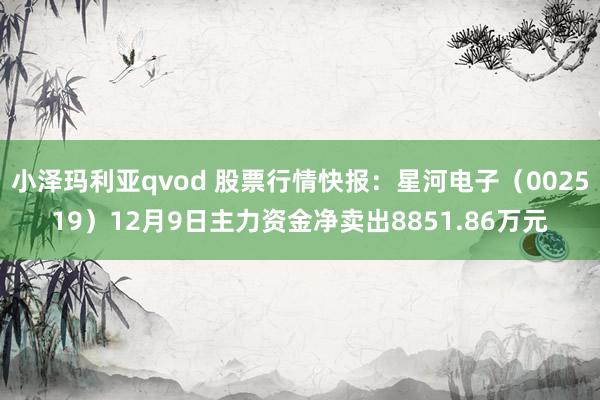 小泽玛利亚qvod 股票行情快报：星河电子（002519）12月9日主力资金净卖出8851.86万元