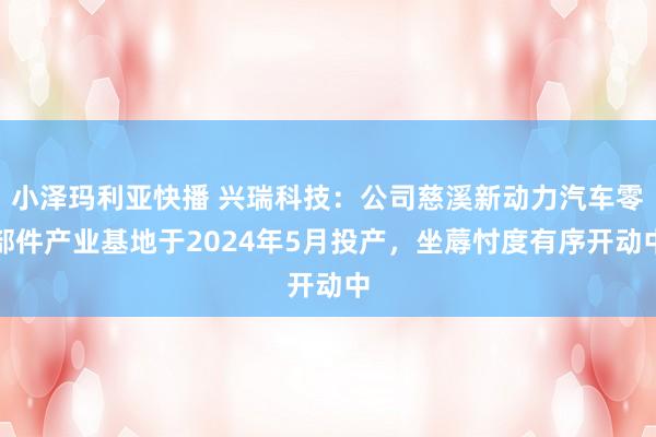 小泽玛利亚快播 兴瑞科技：公司慈溪新动力汽车零部件产业基地于2024年5月投产，坐蓐忖度有序开动中