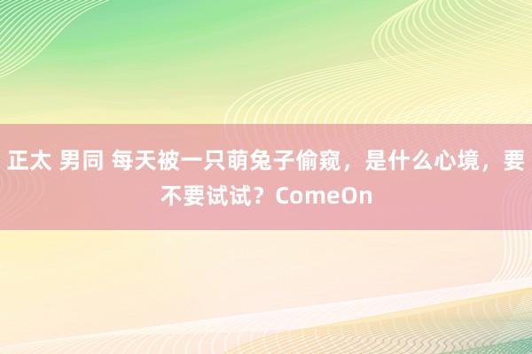 正太 男同 每天被一只萌兔子偷窥，是什么心境，要不要试试？ComeOn