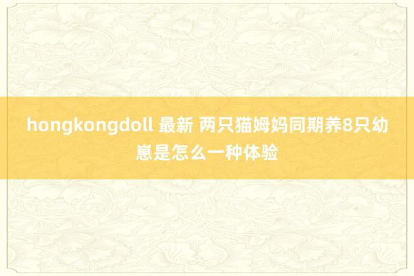 hongkongdoll 最新 两只猫姆妈同期养8只幼崽是怎么一种体验