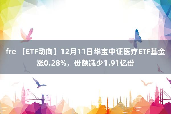 fre 【ETF动向】12月11日华宝中证医疗ETF基金涨0.28%，份额减少1.91亿份