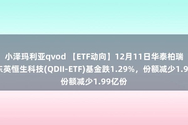 小泽玛利亚qvod 【ETF动向】12月11日华泰柏瑞南边东英恒生科技(QDII-ETF)基金跌1.29%，份额减少1.99亿份