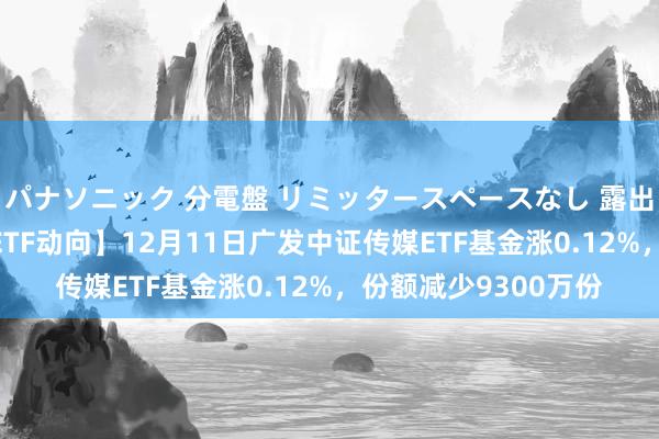 パナソニック 分電盤 リミッタースペースなし 露出・半埋込両用形 【ETF动向】12月11日广发中证传媒ETF基金涨0.12%，份额减少9300万份