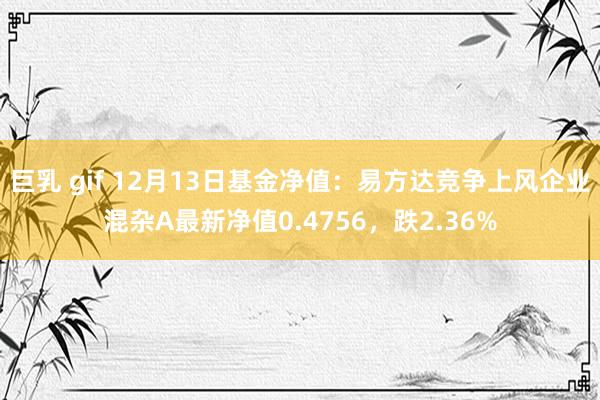 巨乳 gif 12月13日基金净值：易方达竞争上风企业混杂A最新净值0.4756，跌2.36%