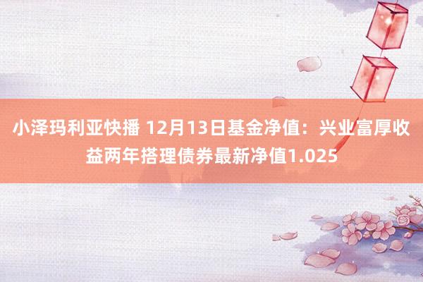 小泽玛利亚快播 12月13日基金净值：兴业富厚收益两年搭理债券最新净值1.025