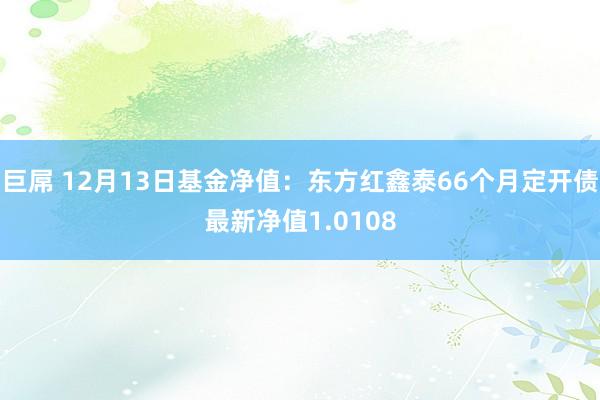 巨屌 12月13日基金净值：东方红鑫泰66个月定开债最新净值1.0108