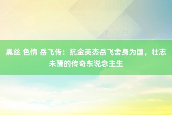 黑丝 色情 岳飞传：抗金英杰岳飞舍身为国，壮志未酬的传奇东说念主生