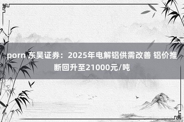 porn 东吴证券：2025年电解铝供需改善 铝价推断回升至21000元/吨