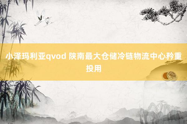 小泽玛利亚qvod 陕南最大仓储冷链物流中心矜重投用