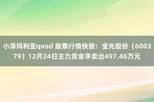 小泽玛利亚qvod 股票行情快报：宝光股份（600379）12月24日主力资金净卖出497.46万元