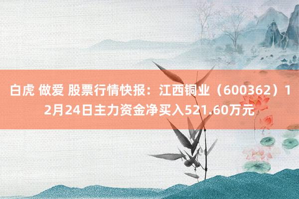 白虎 做爱 股票行情快报：江西铜业（600362）12月24日主力资金净买入521.60万元