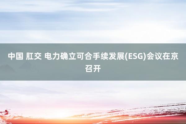 中国 肛交 电力确立可合手续发展(ESG)会议在京召开