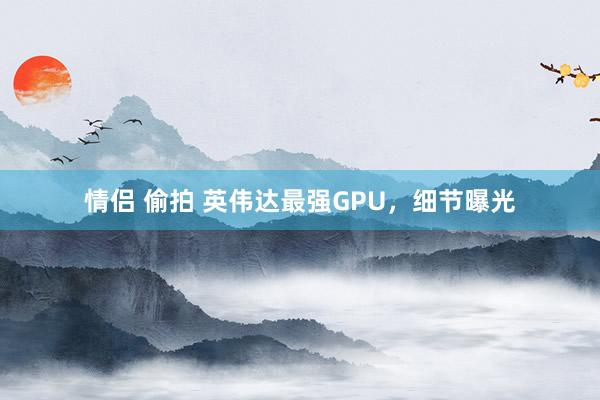 情侣 偷拍 英伟达最强GPU，细节曝光