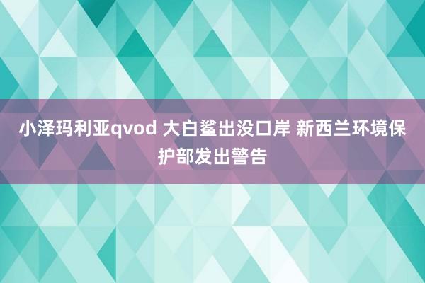 小泽玛利亚qvod 大白鲨出没口岸 新西兰环境保护部发出警告