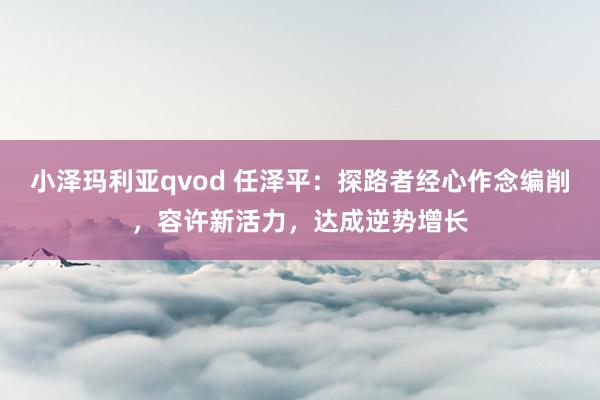 小泽玛利亚qvod 任泽平：探路者经心作念编削，容许新活力，达成逆势增长