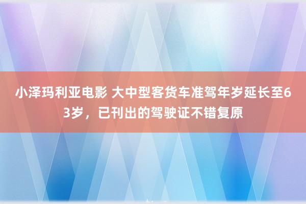 小泽玛利亚电影 大中型客货车准驾年岁延长至63岁，已刊出的驾驶证不错复原