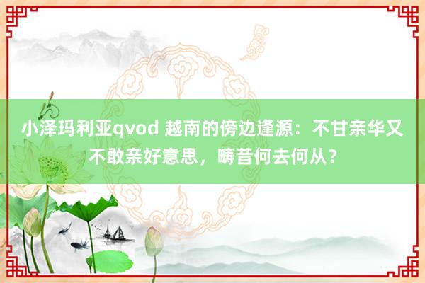 小泽玛利亚qvod 越南的傍边逢源：不甘亲华又不敢亲好意思，畴昔何去何从？