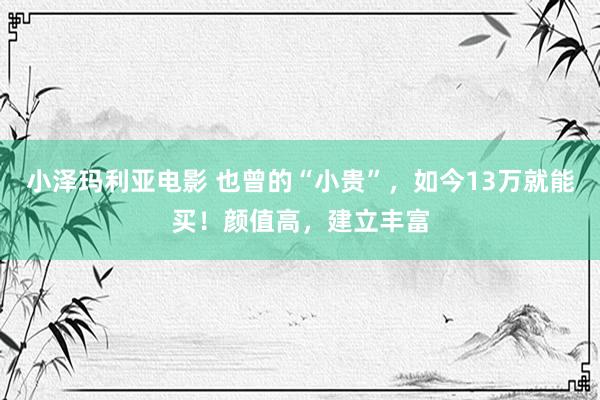 小泽玛利亚电影 也曾的“小贵”，如今13万就能买！颜值高，建立丰富