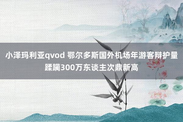 小泽玛利亚qvod 鄂尔多斯国外机场年游客辩护量蹂躏300万东谈主次鼎新高